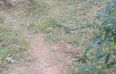 Imagem 3: Lote no morro do sabão. 640m² de Área