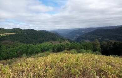 Imagem: A chácara possui 50.000m² de Área e está localizado em