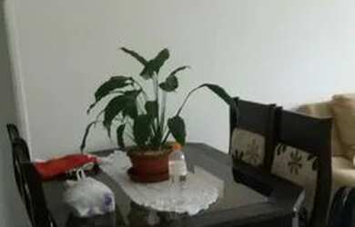 Imagem 3: APTO 3 DORM 110 M2 NO CORAÇÃO DO GONZAGA ! SEGUNDO ANDAR VAGA DEMARCADA