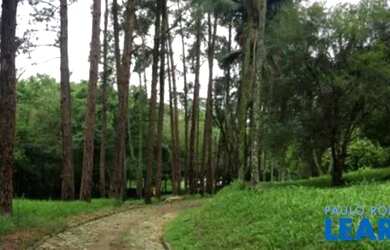 Imagem 2: AREA - TERRA PRETA - SP. 195.000m² de Área