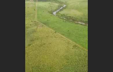 Imagem 4: Fazenda no sul do Pará. 
