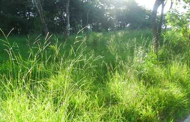 Imagem 10: Lotes com 360 m² no Bairro Jardim Nazareno - Betim/MG