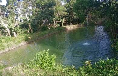 Imagem: A chácara está localizado em Juquiá, SP à venda por R$160.000