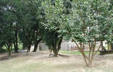 Imagem 10: Betim - Apartamento Padrão - Santa Cruz