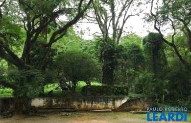 Imagem 4: AREA - TERRA PRETA - SP. 195.000m² de Área