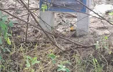 Imagem: O terreno está localizado em Papagaio, Feira de Santana à