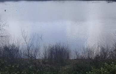 Imagem: A fazenda possui 1.600m² de Área e está localizado em Brejões