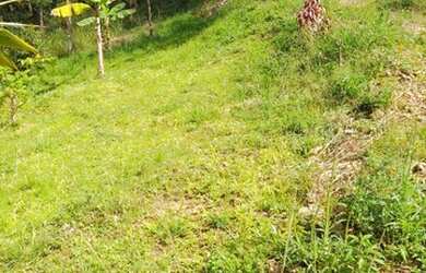 Imagem: A chácara possui 2.000m² de Área e está localizado em Jaguaripe