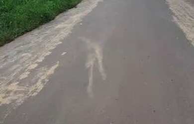 Imagem 4: Galpão, 1530 m² - venda por R$ 1.200.000,00 ou aluguel por R$ 10.001,00/mês...