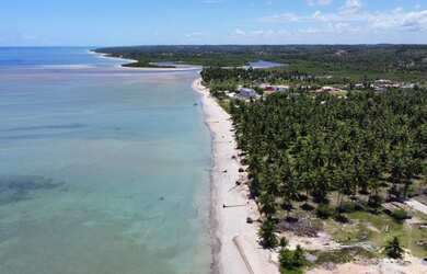 Imagem 7: Seu ap a beira mar da praia de Tatuamunha - Porto de Pedras - AL