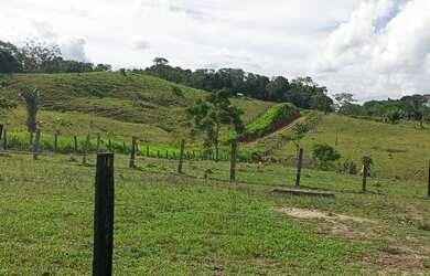 Imagem: A fazenda possui 101.000m² de Área e está localizado em