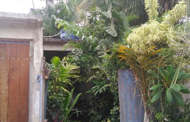 Imagem 6: vendo. Varanda, 75m² de Área, 2 Vagas na garageme1 Dormitório