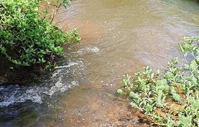 Imagem: A chácara possui 2.200m² de Área e está localizado em Jaguaripe