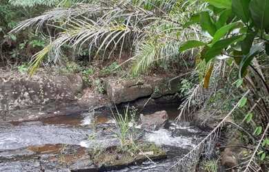 Imagem: A chácara possui 70.000m² de Área e está localizado em