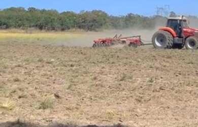 Imagem 2: Fazenda - Gurupi (TO