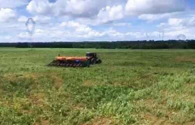 Imagem 12: Fazenda - Gurupi (TO