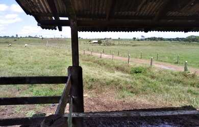 Imagem 4: 300 alqueires, porteira fechada no Pará R$17 milhões de reais