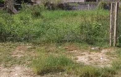 Imagem 3: Vendo terreno. 