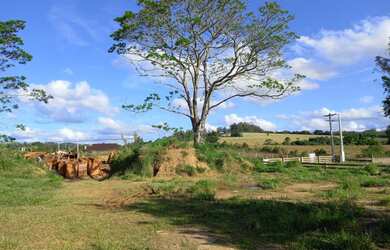 Imagem 3: Lote/Terreno para venda tem 1024 metros quadrados em Lomba Grande - Novo Hamburgo - RS