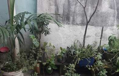 Imagem 6: Casa. 3 Vagas na garageme4 Dormitórios