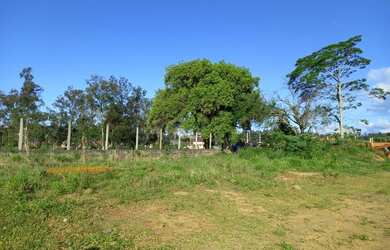 Imagem 4: Lote/Terreno para venda tem 1024 metros quadrados em Lomba Grande - Novo Hamburgo - RS