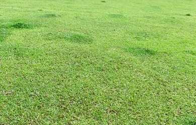 Imagem: O terreno possui 600m² de Área e está localizado em Centro