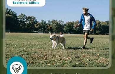 Imagem 5: VENDO terrenos em atibaia