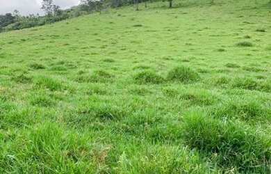 Imagem 2: lf-Vende-se terreno para excelente localização Nazare Paulista