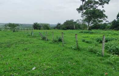 Imagem 5: 300 alqueires, porteira fechada no Pará R$17 milhões de reais