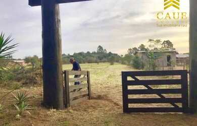Imagem 5: Baita terreno 2453m², com lindo mato nativo e luz na frente