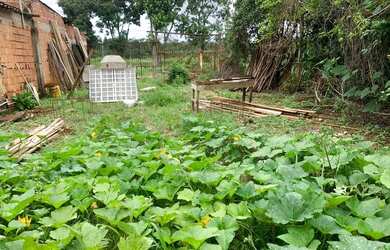 Imagem 2: Lote. 64m² de Área