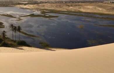 Imagem 10: Terreno para venda possui 700000 metros quadrados em Taíba - São Gonçalo...