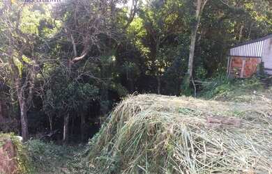 Imagem 6: Terreno à venda, 1012 m² por R$ 300.000,00 - Jardim América - Louveira/SP