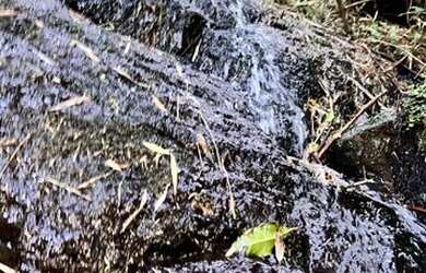 Imagem: A chácara possui 20.000m² de Área e está localizado em