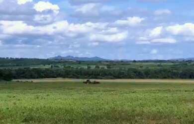 Imagem 9: Fazenda - Gurupi (TO