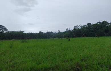 Imagem 2: 300 alqueires, porteira fechada no Pará R$17 milhões de reais