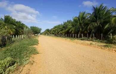 Imagem 4: Fazenda. 3.500m² de Área