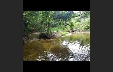 Imagem: O terreno possui 20.500m² de Área e está localizado em Cocalzinho