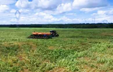 Imagem 4: Fazenda - Gurupi (TO