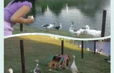 Imagem 5: Julho Férias Escolar Winterville Gravatá Vem Aproveitar Pcts Promocionais...