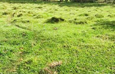 Imagem 2: VC- Vendo terreno para você e sua família