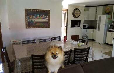 Imagem 8: Casa Praia Arroio do Sal. Piscina, Churrasqueira, Imóvel mobiliadoeVaranda