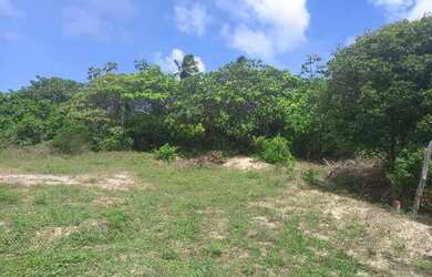 Imagem: Terreno no bairro robalo