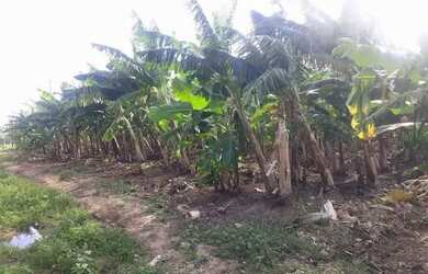 Imagem 5: Fazenda. 3.500m² de Área