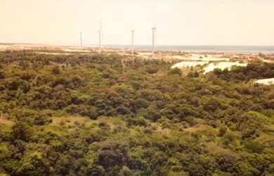Imagem 9: Terreno para venda possui 700000 metros quadrados em Taíba - São Gonçalo...