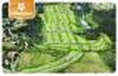 Imagem 6: Terreno à venda, 560 m² por R$ 360.000,00 - Condomínio Santa Isabel...