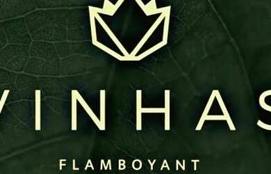 Imagem: O terreno possui 300m² de Área e está localizado em Setor