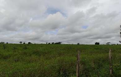 Imagem 6: 300 alqueires, porteira fechada no Pará R$17 milhões de reais