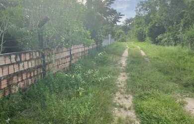 Imagem 3: Terreno km-29 / 2 lotes. 