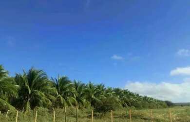 Imagem 8: Fazenda. 3.500m² de Área